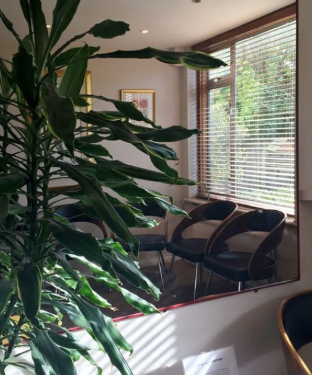 Practice Gallery Image - Rochester Lodge Dental