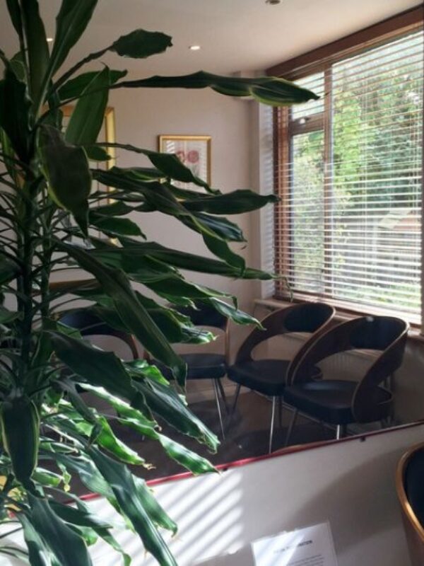 Practice Gallery Image - Rochester Lodge Dental